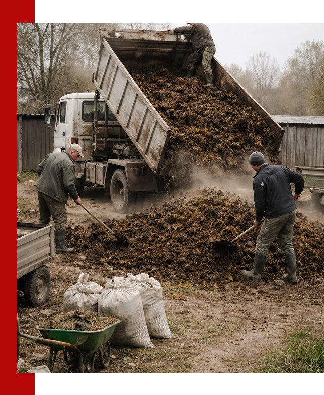 Доставка коровьего навоза самосвалом в Лабинске